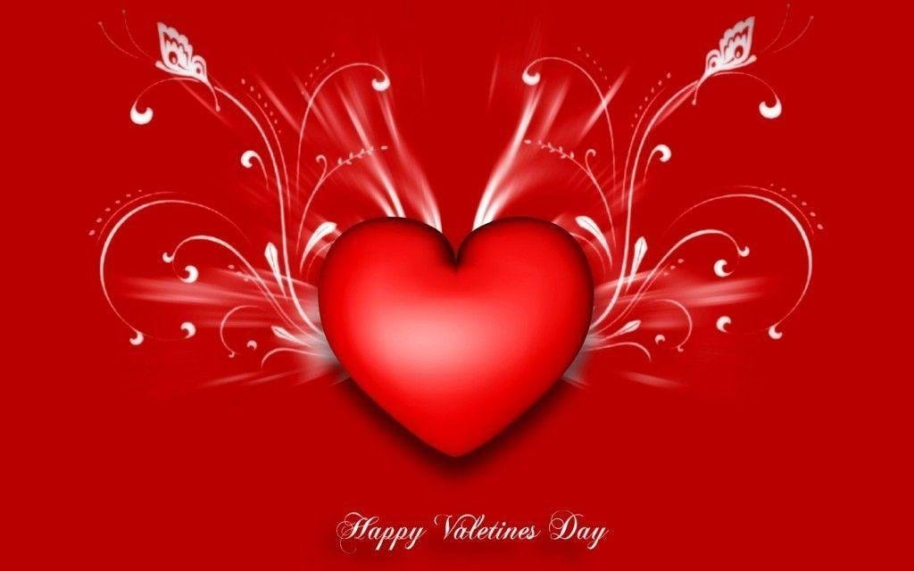 Happy Valentine's day !!!