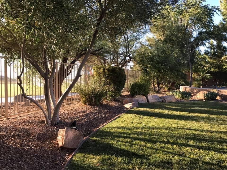 Marty Patton's album, Timeline Photos