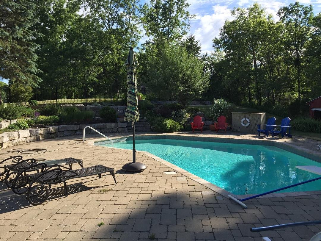 Frogs & chipmunks use the pool much more than us