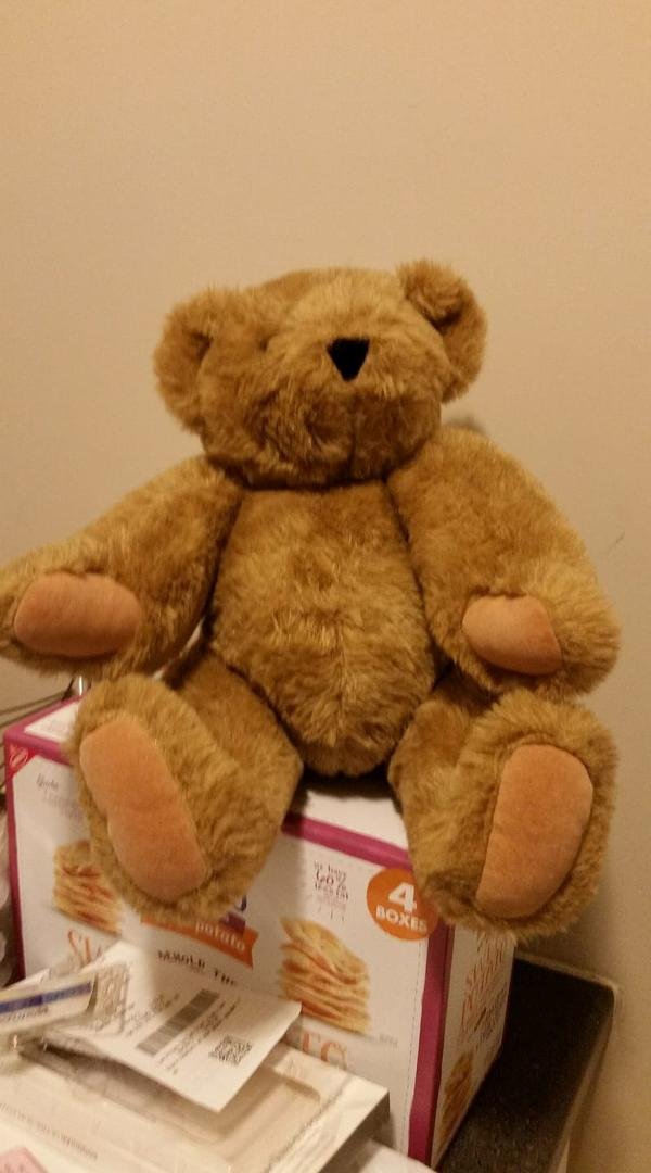 This is what my hubby got me at the fair.  The guys guessed  his age wrong. Lololol It's  an Vermont Teddy Bear.