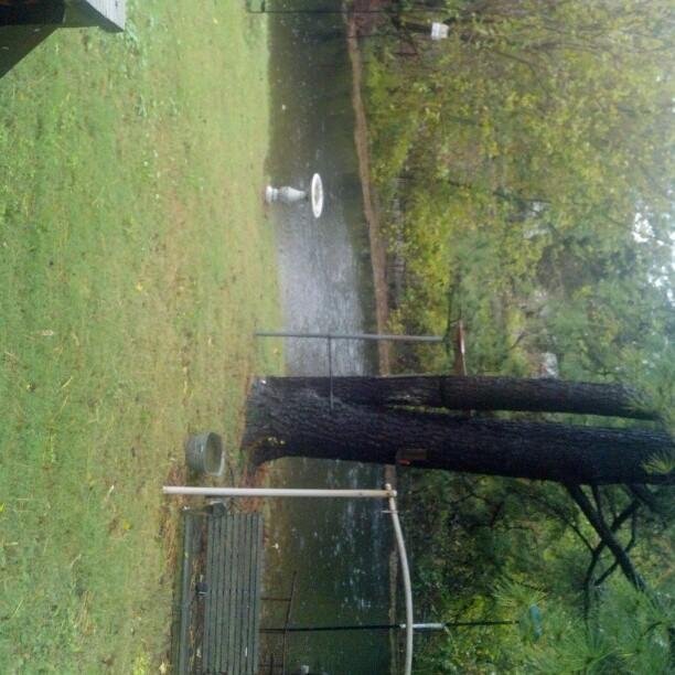 Always wanted water front property
Lol.  Bonnie in waterlogged Norfolk  Va