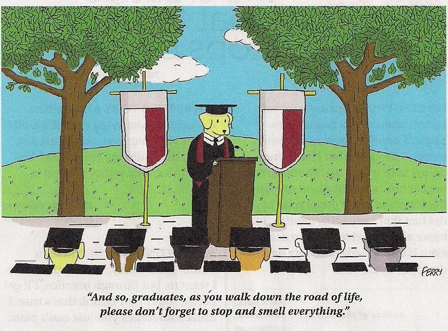 Advice for graduates.