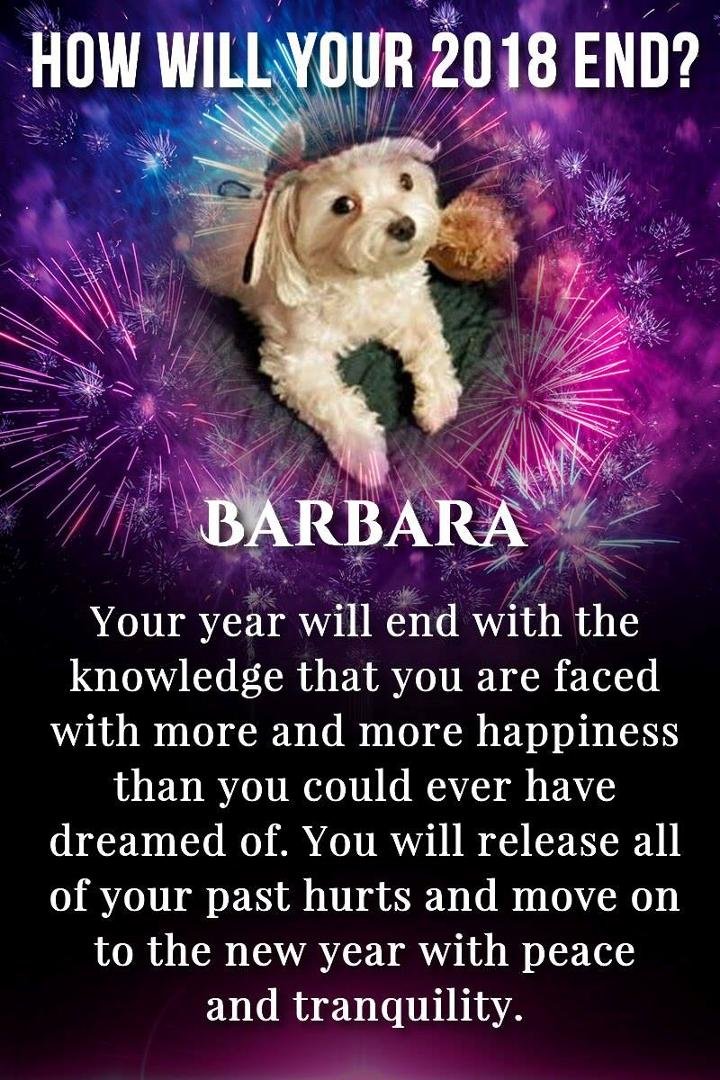 Barbara Baio's album, Timeline Photos