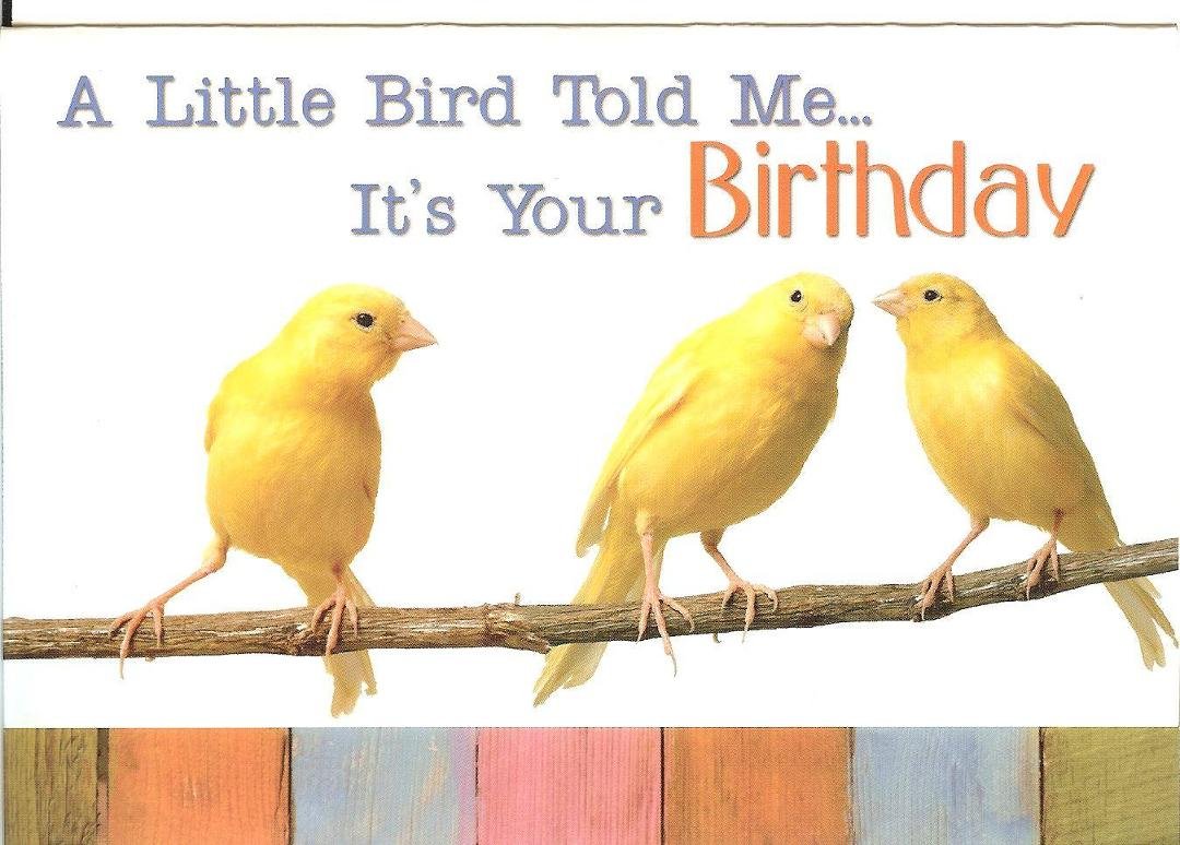 Happy Birthday Lynn Hill-Sabo