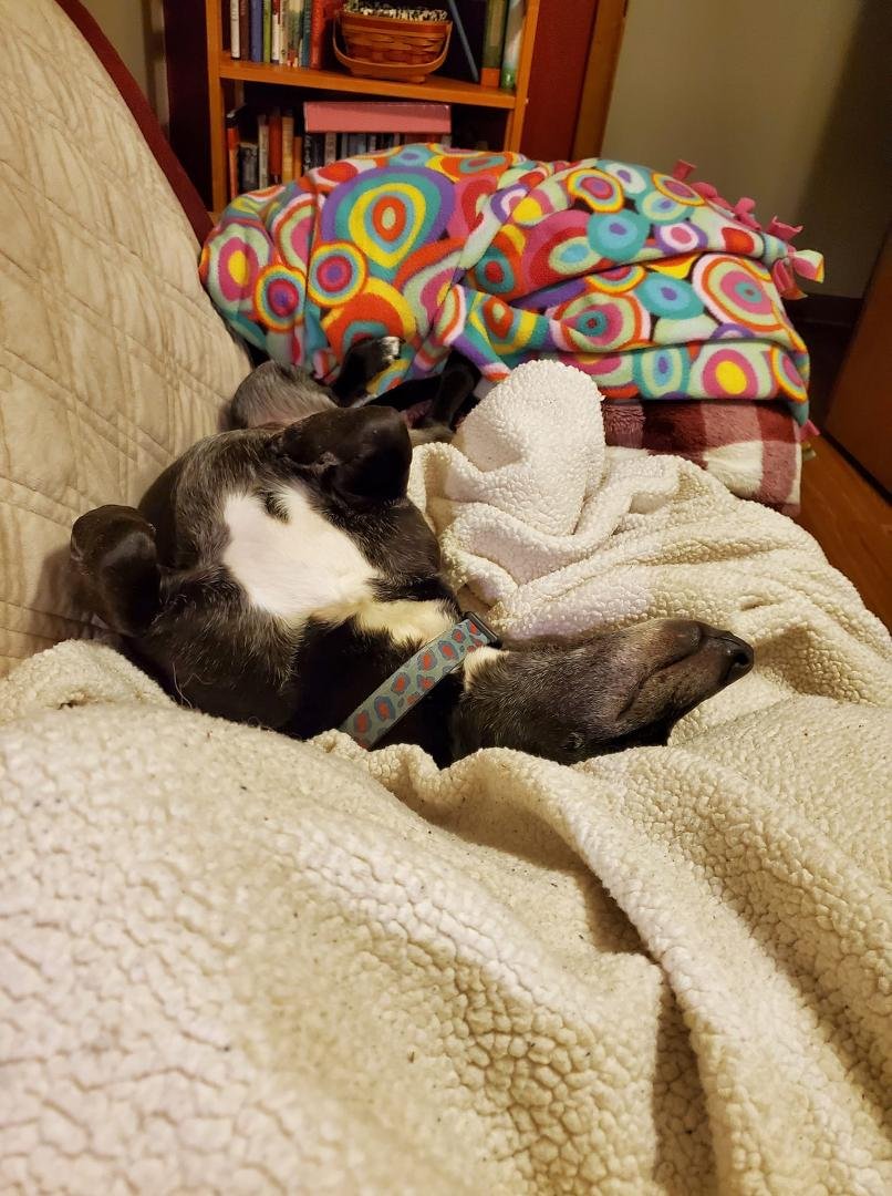 When you are trying to relax, put your sore knee up and read,  you get a protector