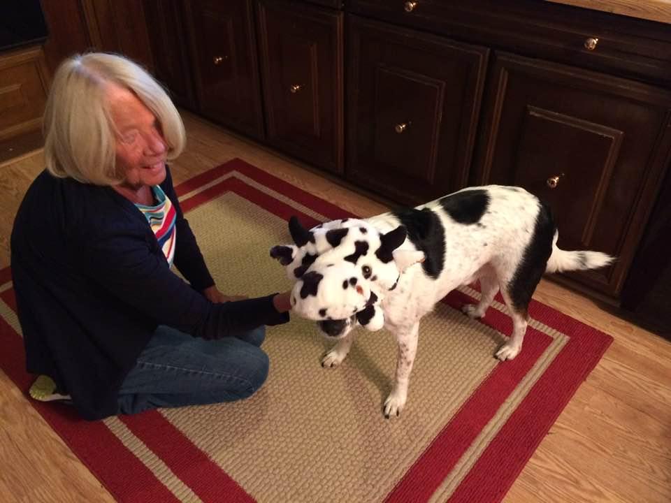 Hank had his cow mask on. Perfect for his body.