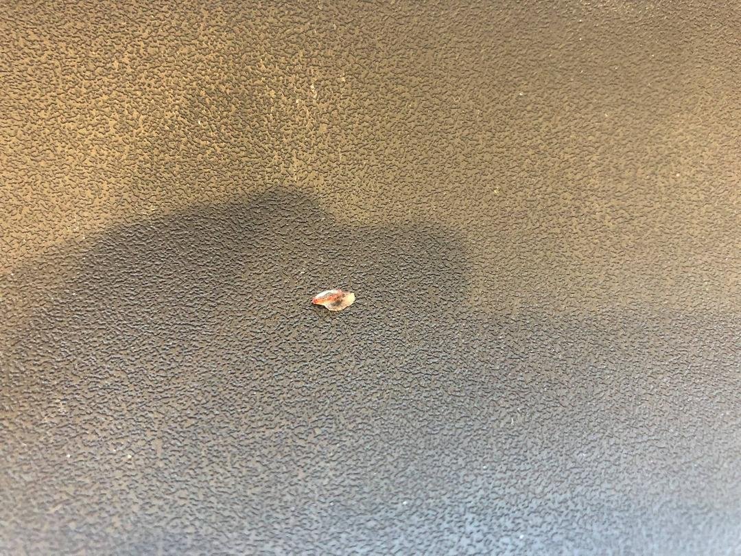 So, my hand brushed up against a door earlier today, and I thought it had opened up one of the few scabs I have left after the accident. But upon further inspection, it turned out to be a tiny shard of glass, probably left