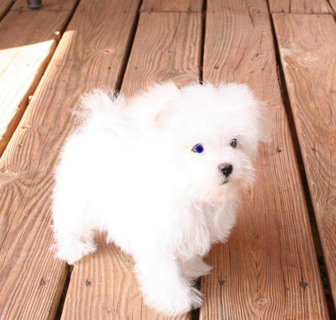 Cathleen King's album, MY BABY WITH NO NAME (YET) IS COMING HOME