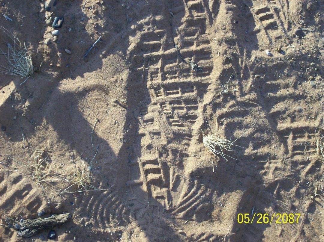 100_3530.jpg