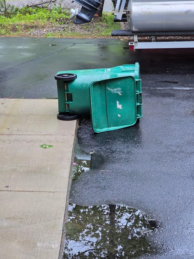 Mr Bear made his rounds yesterday evening but was sorely disappointed in the menu. It was pickup day fortunately.