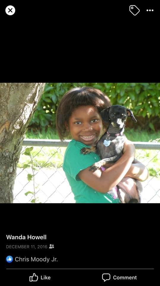 Robyn when she was a puppy