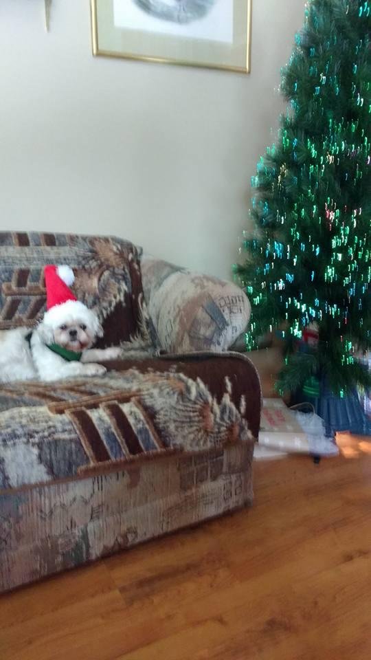 I am ready for Christmas and presents.
