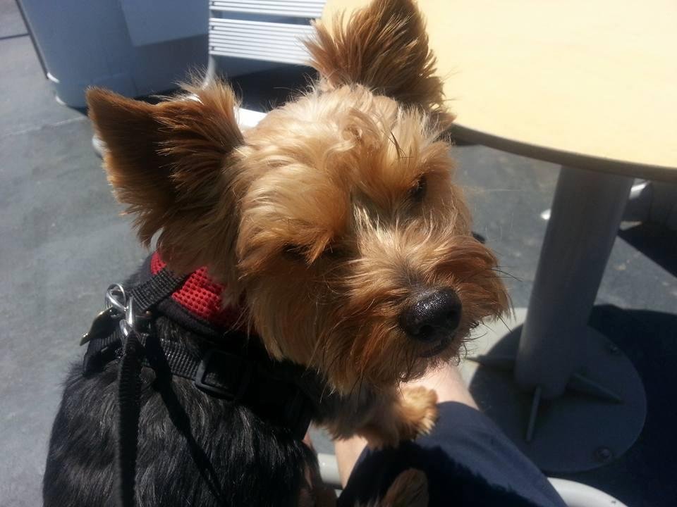My buddy
