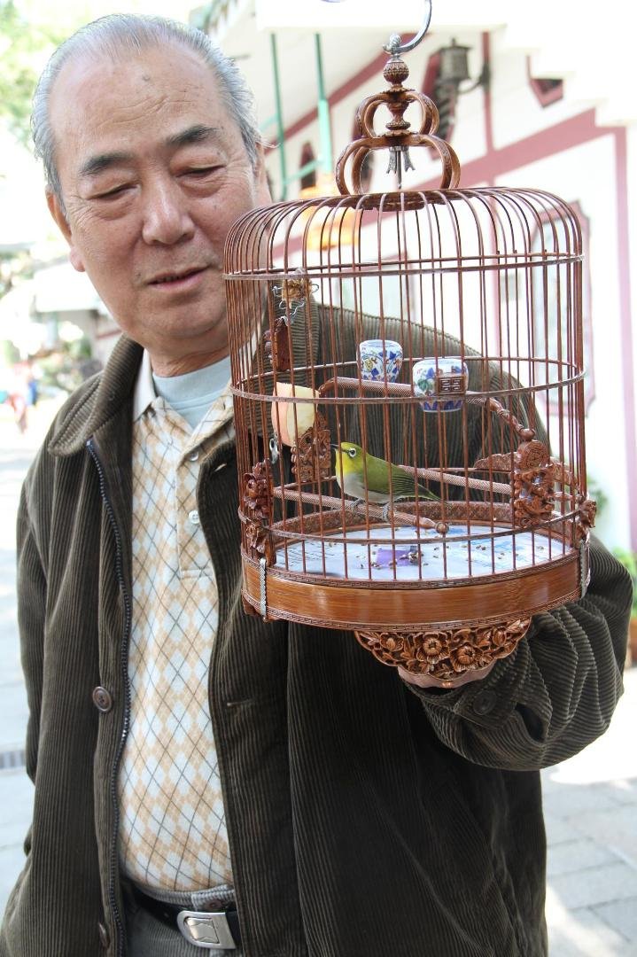 Bird Park