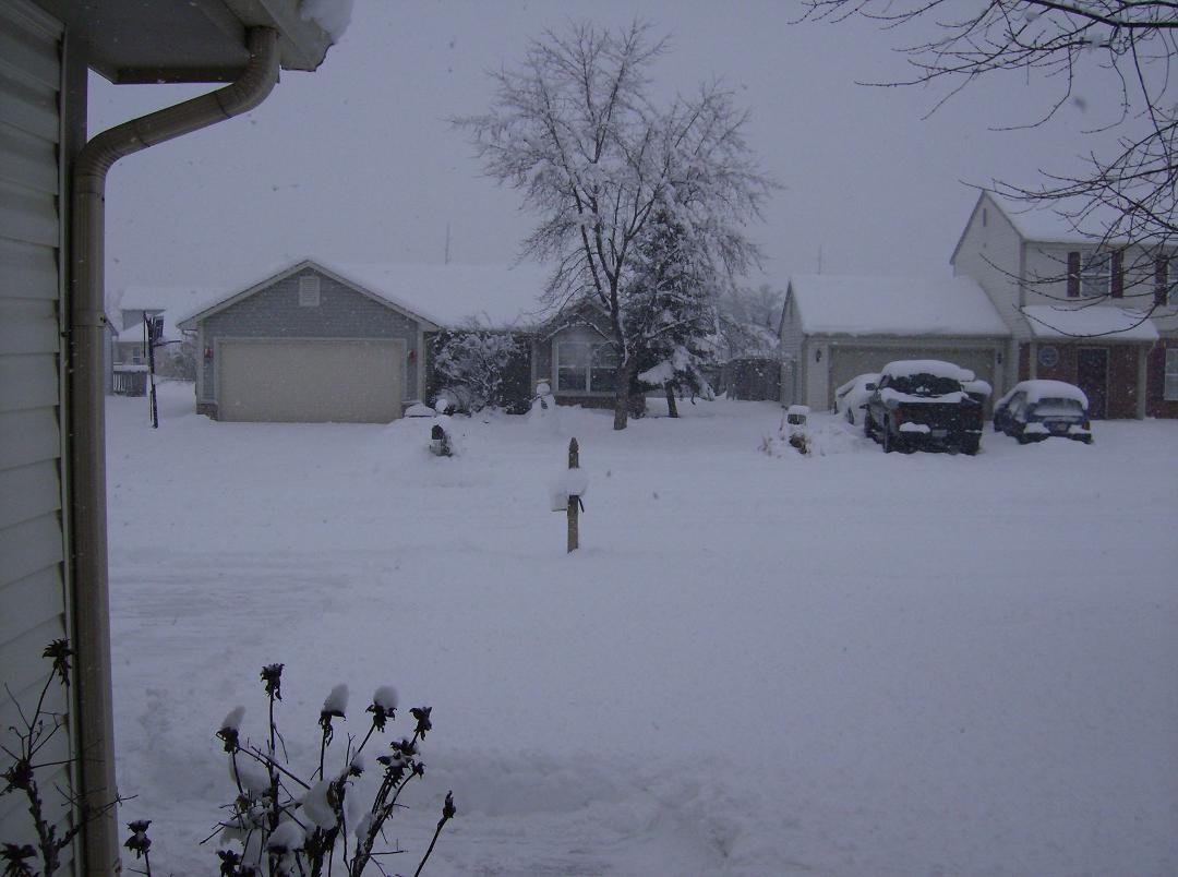 looking out from my front door