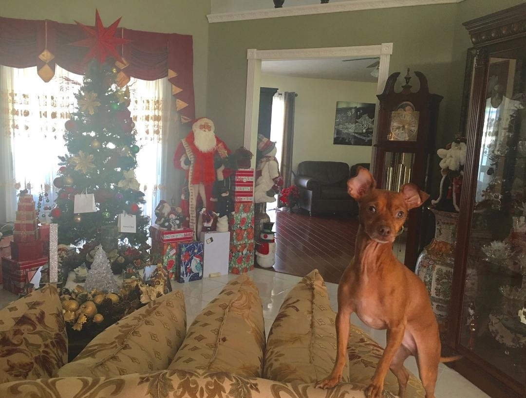 James Hoehn's album, Timeline Photos
