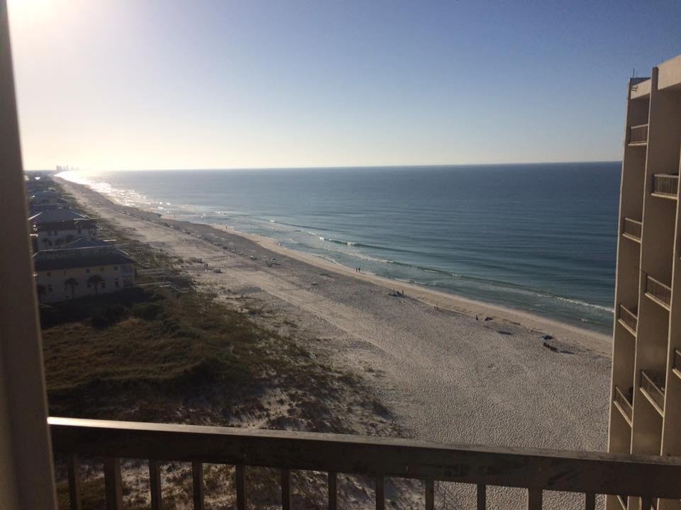 This is my am view watching the dolphins feed along the shore