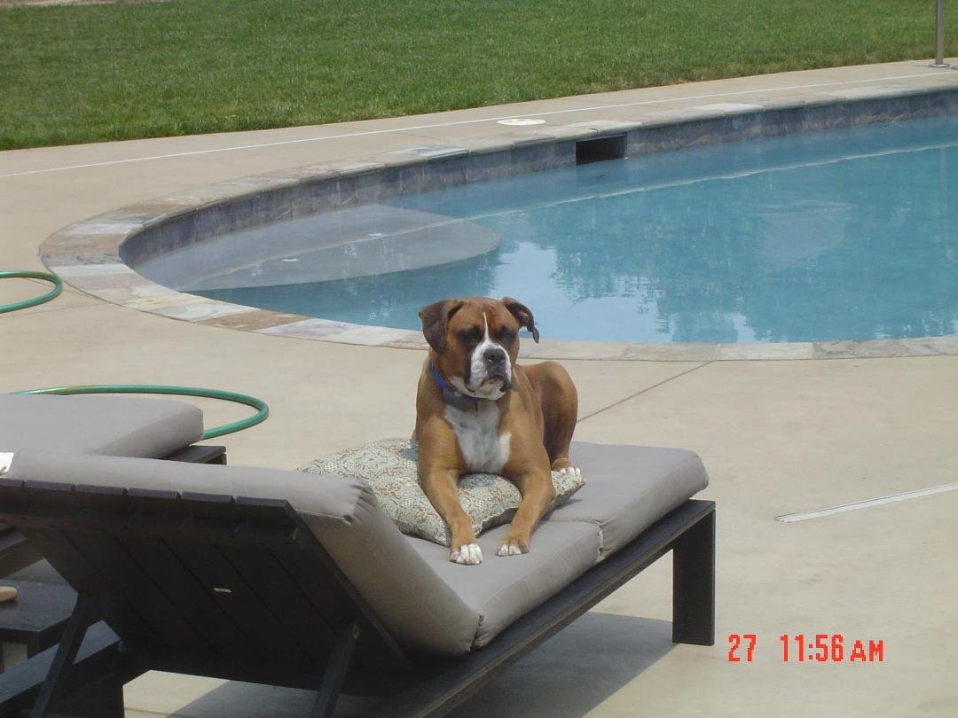 William ( Curt ) Ragland's album, Timeline Photos