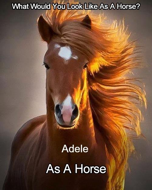Adele Hain's album, Timeline Photos