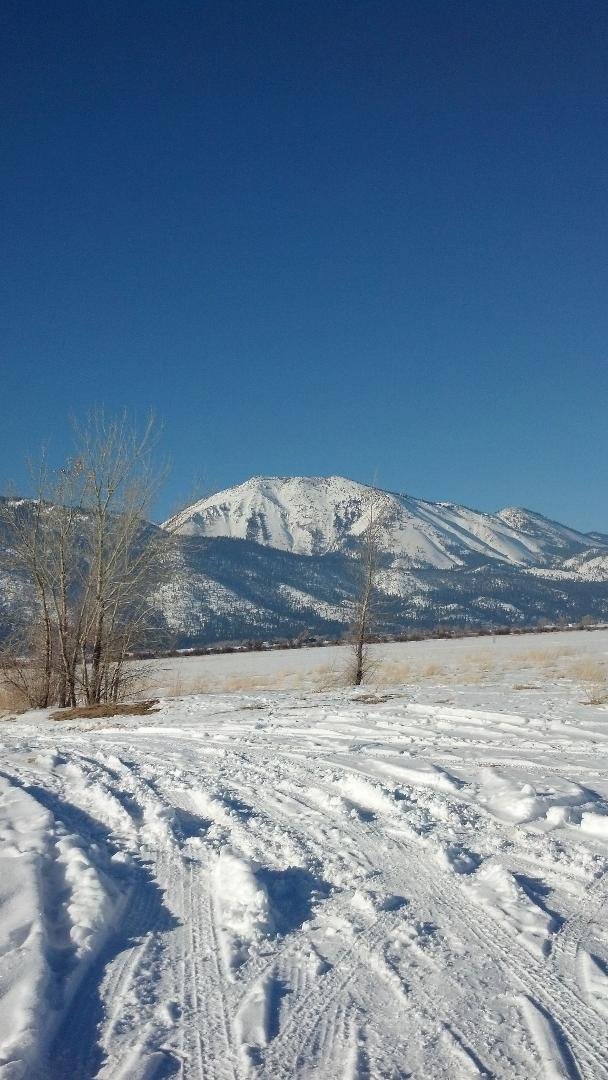 New Years run at Washoe Lake
