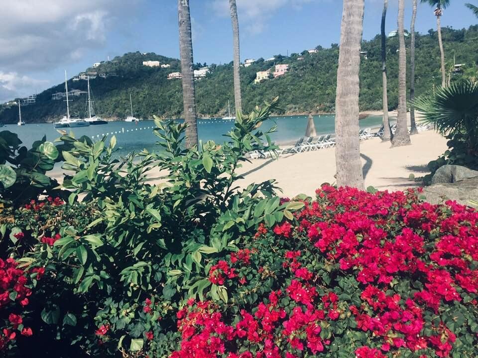 Toil we meet again St John. Goodbye and Merry Christmas 🎁