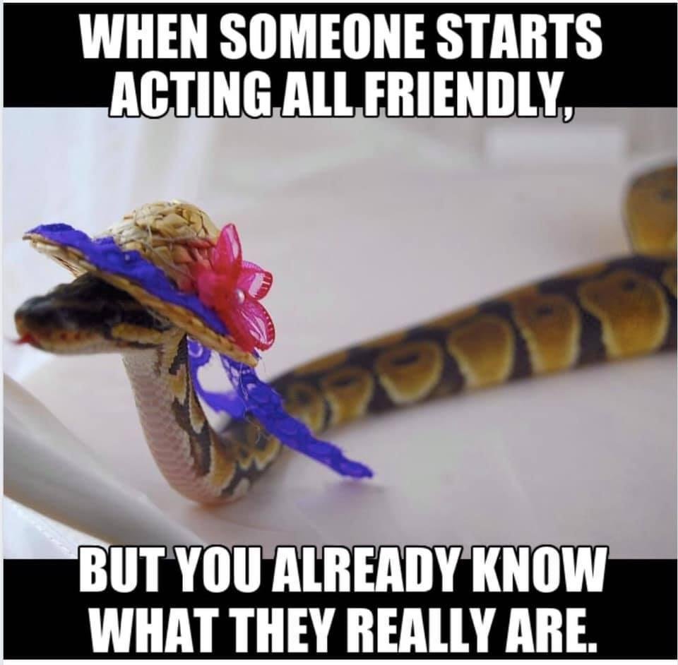 William Prevatt's album, Timeline Photos