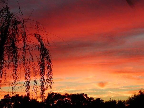 larry abbott's album, Sunsets in Florida
