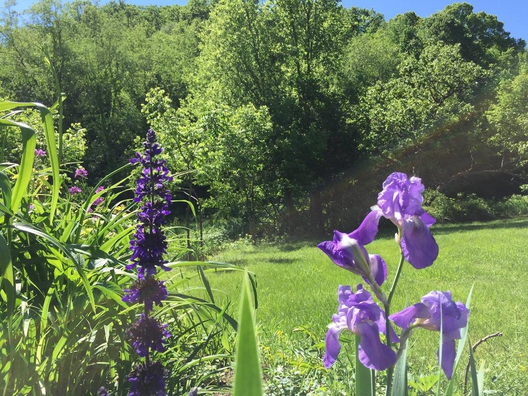 Frank Chaffee's album, Timeline Photos