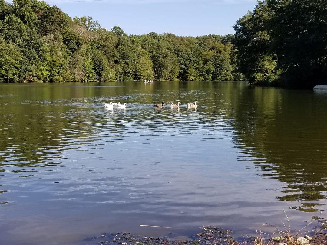 Muddy Run Park near Holtwood