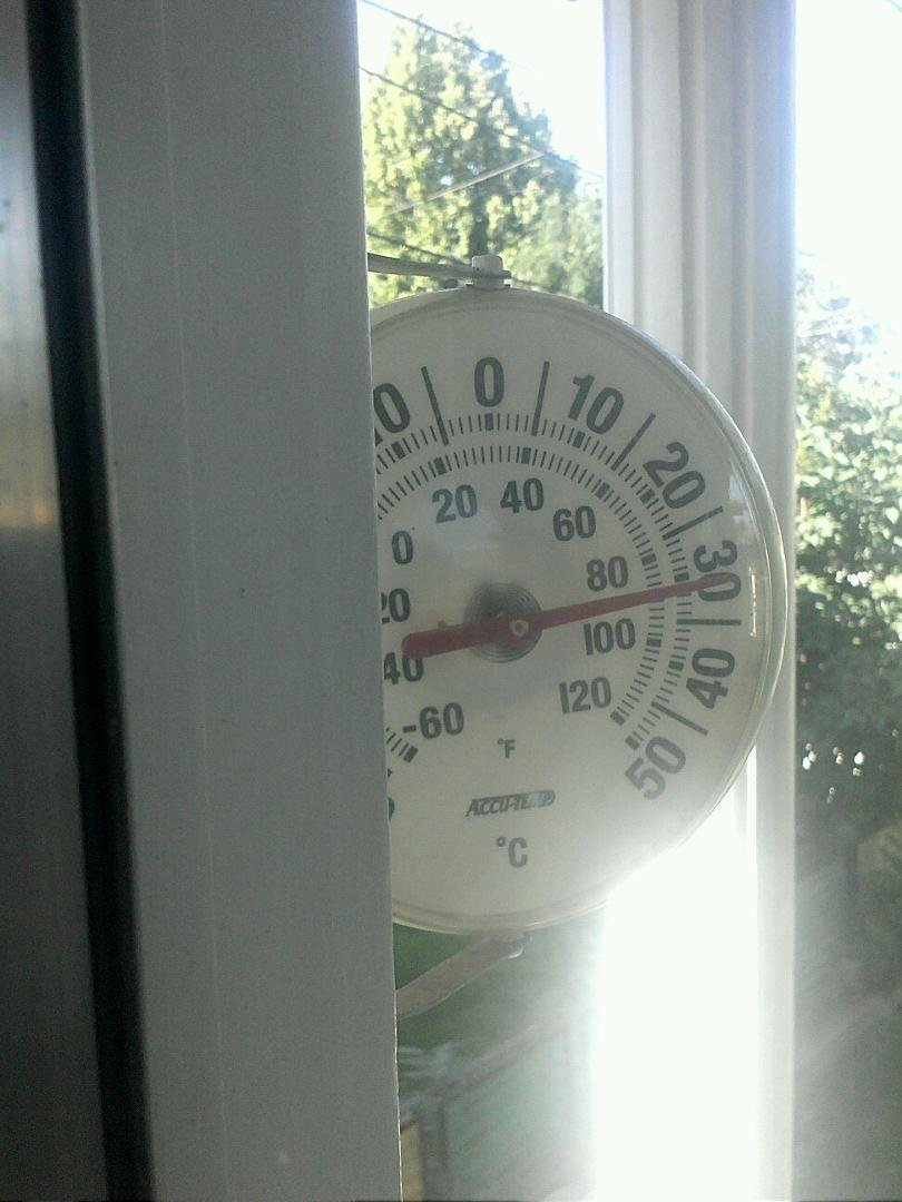 Hottest day in the shade in a long time!!