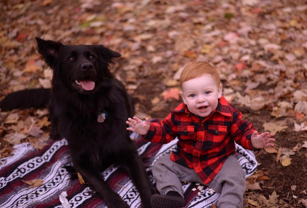 Happy Birthday Holden 1 year old today..