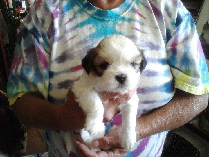 Bill Parsons' album, August 19, 2011