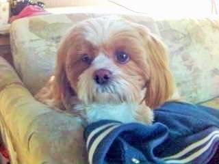 Mizzie.....2005