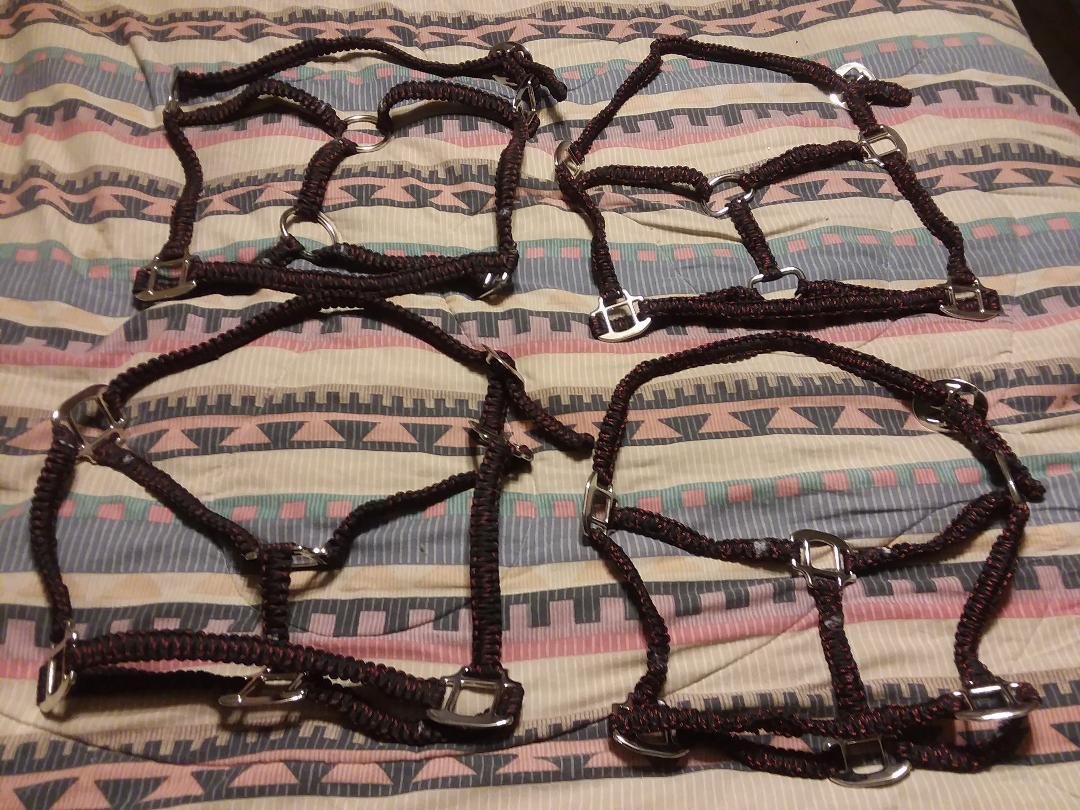 Four halters of different sizes.