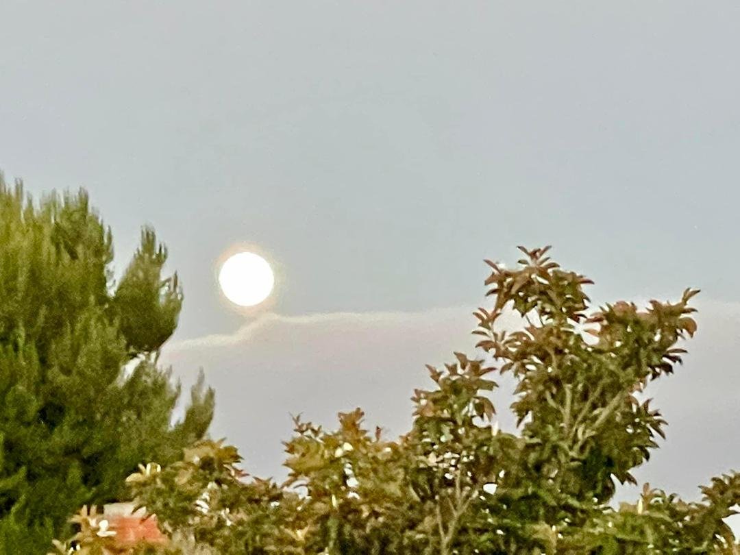Full moon tomorrow 🌕
