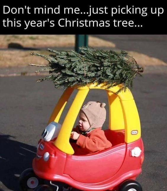 Jane Alvarez's album, Timeline Photos