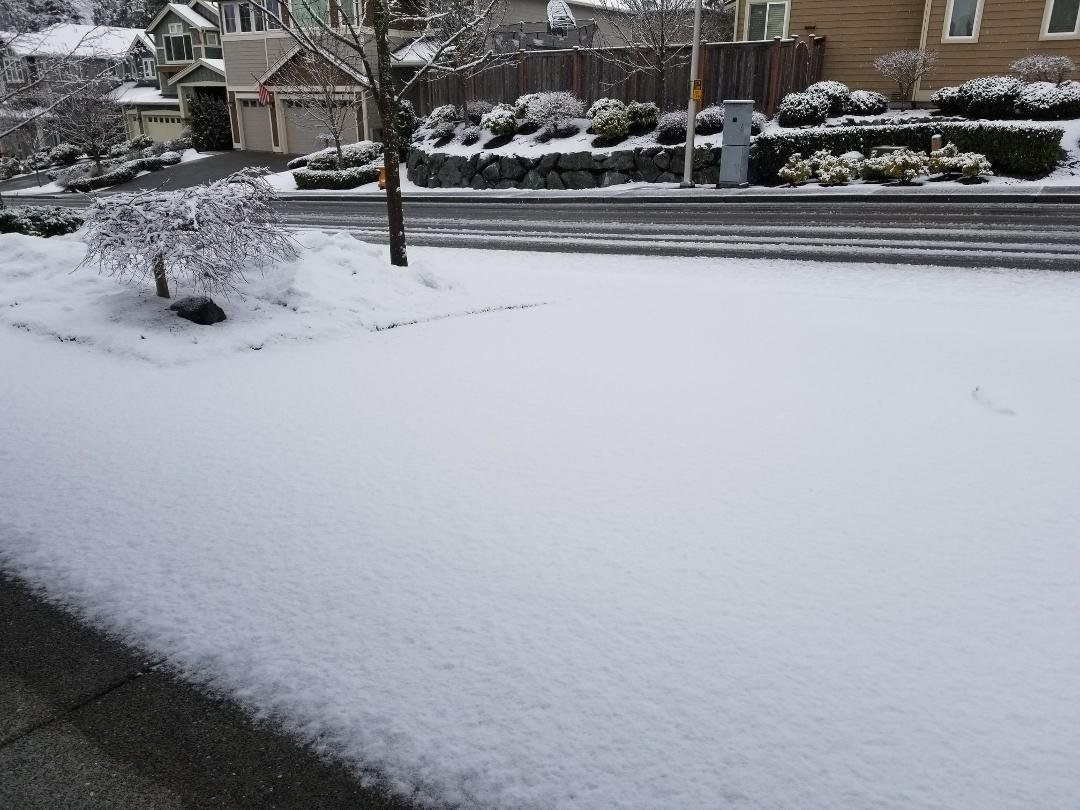 This morning there was more snow on the ground. It was sticking to the south side of the street, but not the north side. There was an inch on our driveway. This afternoon all the snow had melted.