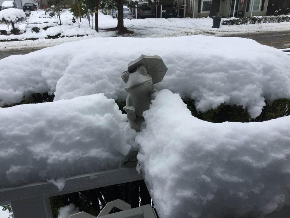 Supposed to snow again tomorrow......we still have about 4” on ground, down from over a foot.