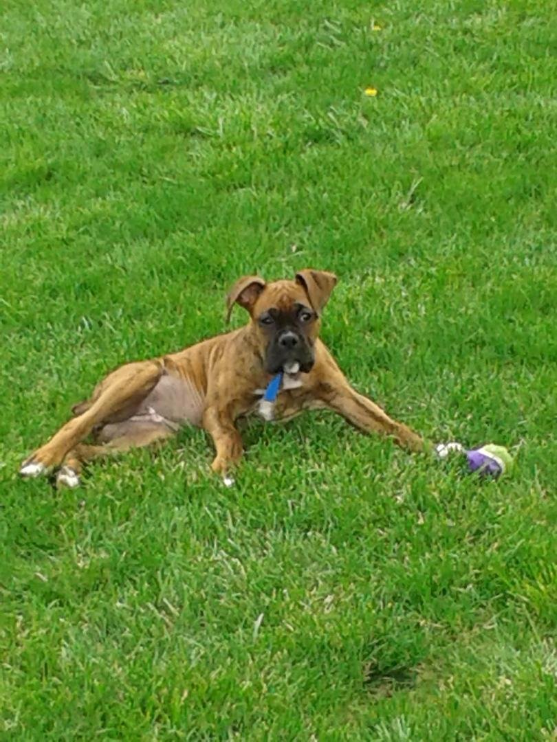 Wanna play picture
