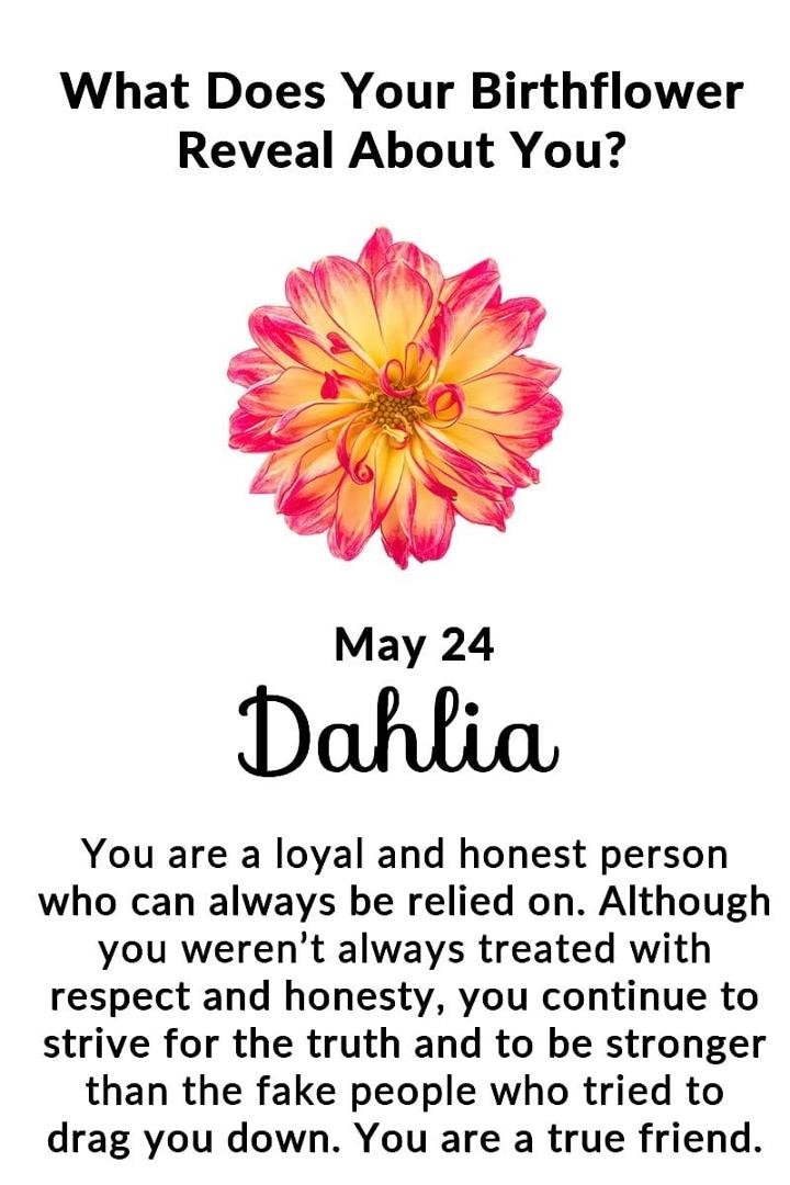 Dorella Beaudoin's album, Timeline Photos