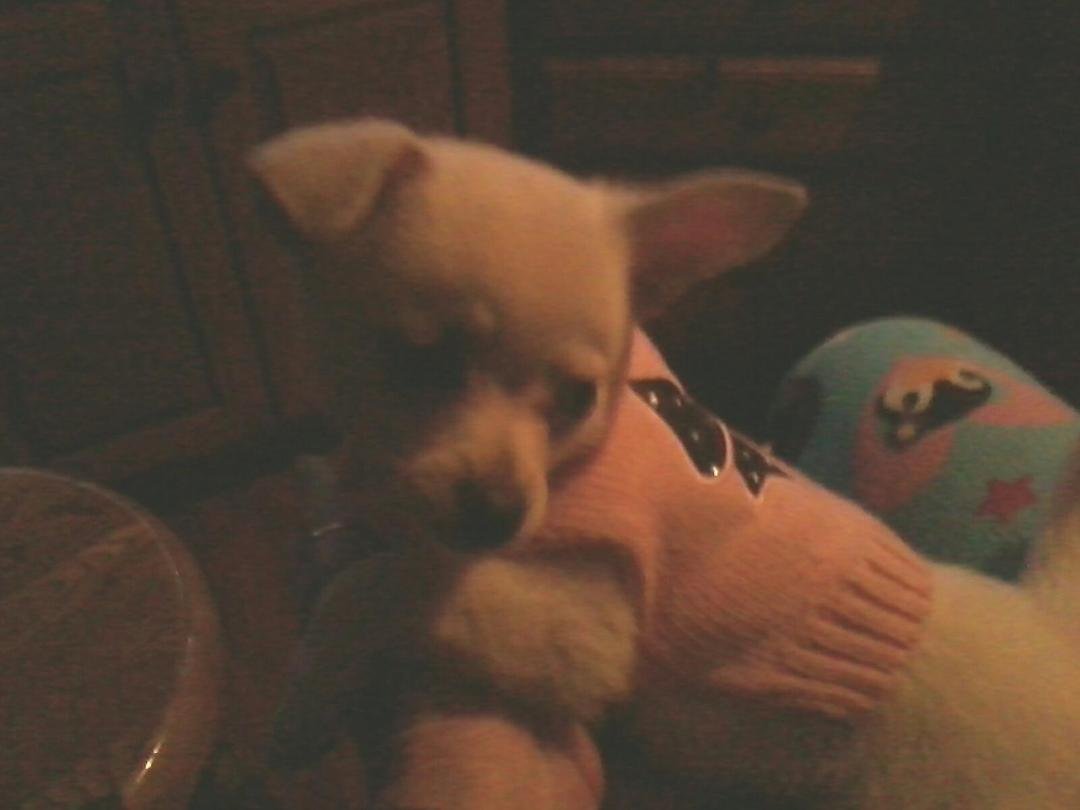 Here's my Lily,isn't she sweet