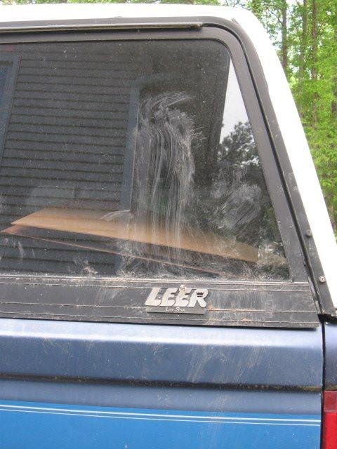 The Bear tried to claw his way into the back of my old truck last evening.