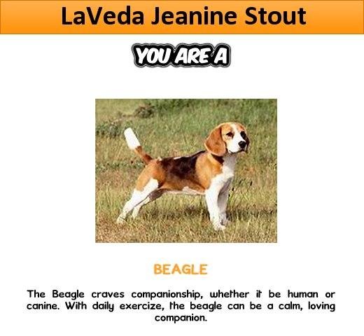 Click here to find out " What kind of DOG You Are " ====> http://bit.ly/Jeko67