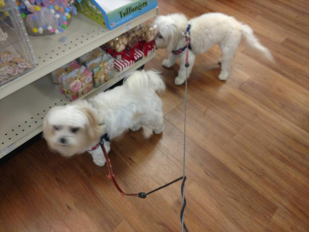 What to do on a rainy day...Go shopping with the babies.
