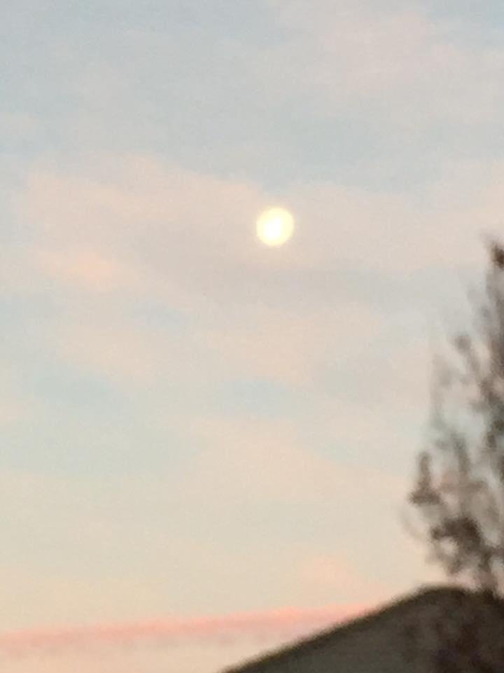 Sandra Logan's album, Mobile Uploads