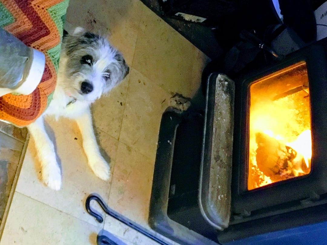 Storm enjoying the woodstove.