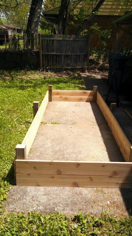 Raised garden, phase 1.