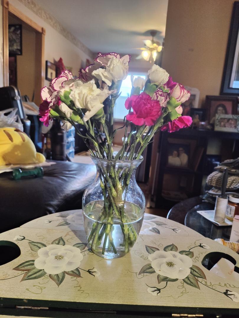 Today would have been mine and my husband's 49th wedding anniversary. It will be 12 years since he finished his life course on July 23rd.
These are the flowers my youngest daughter and her husband bought me to commemorate o