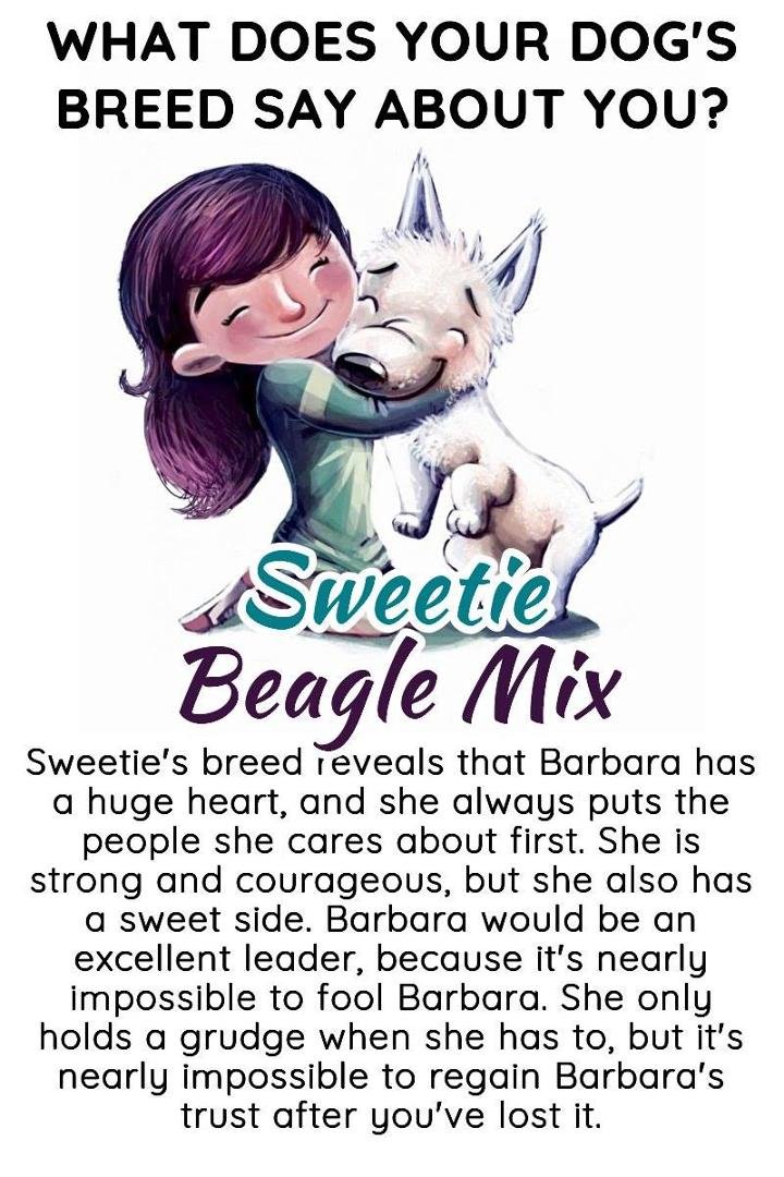 Barbara Ravitz's album, Timeline photos