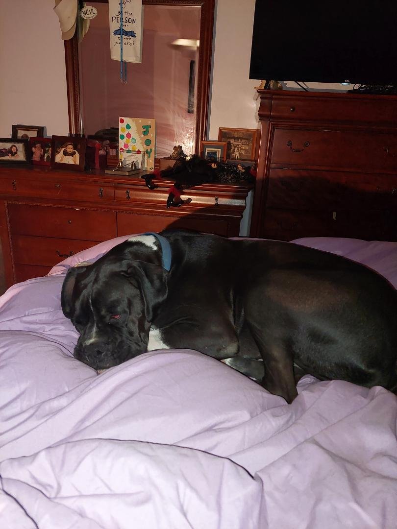 Thays dome good sleep right there